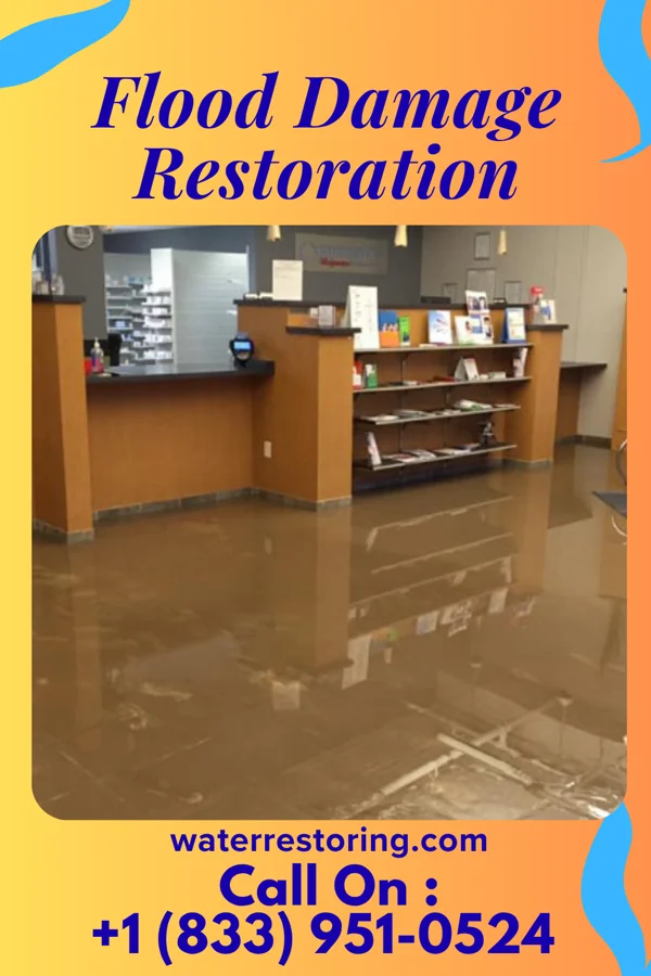 Flood Damage Restoration in Roper, NC