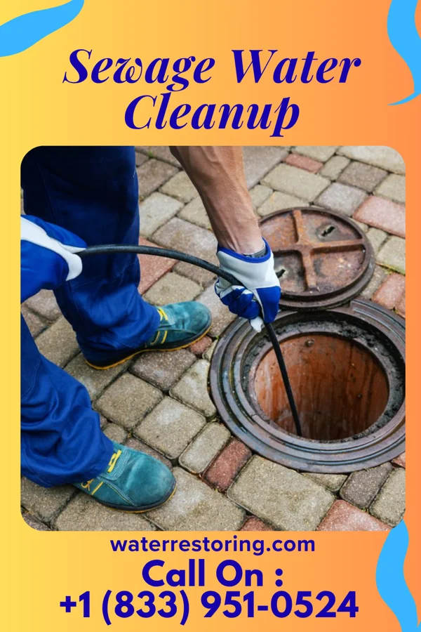 Sewage Water Cleanup in Roper, NC