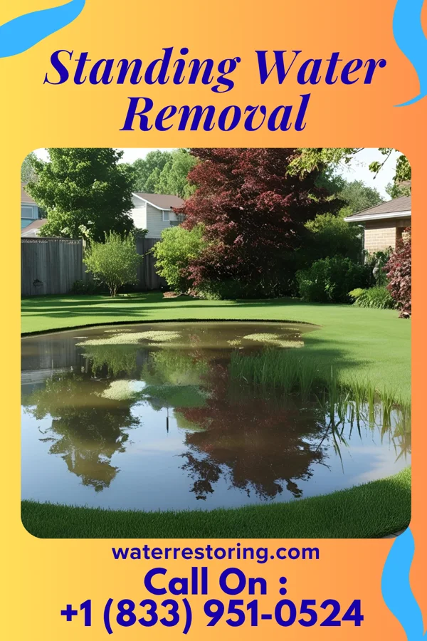 Standing Water Removal in Roper, NC